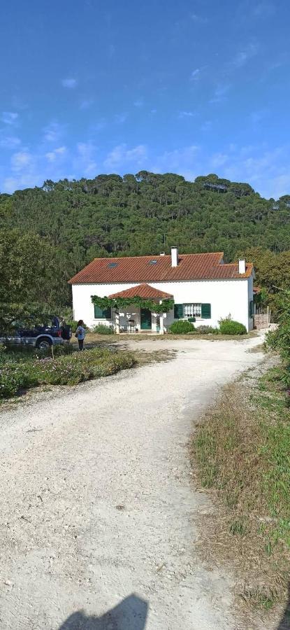 Al- Quinta Dos Carvalhais Rio Maior Zewnętrze zdjęcie